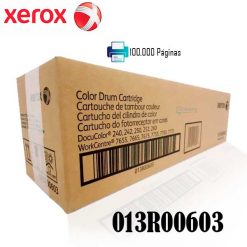 Tambor Xerox 013R00603